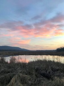 Bashakill sunset